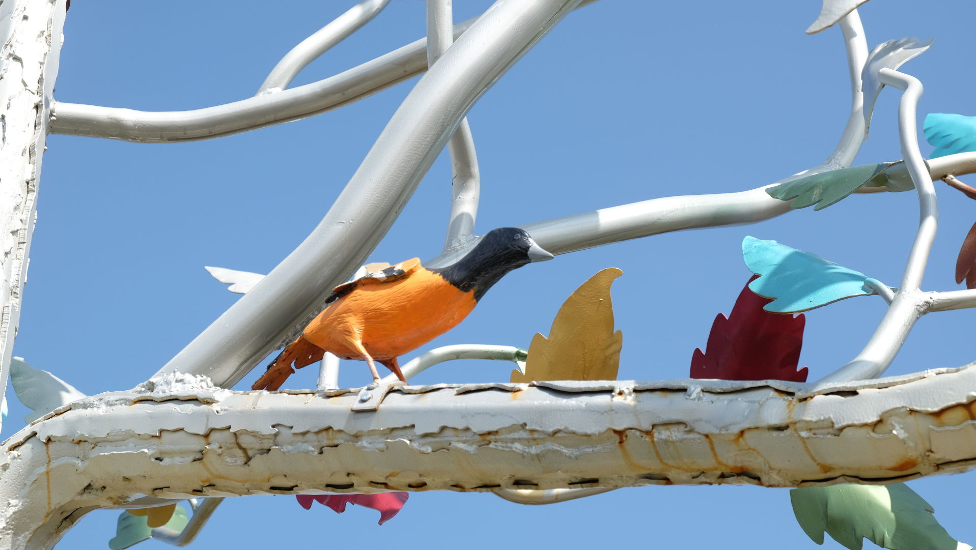 The welcome tree